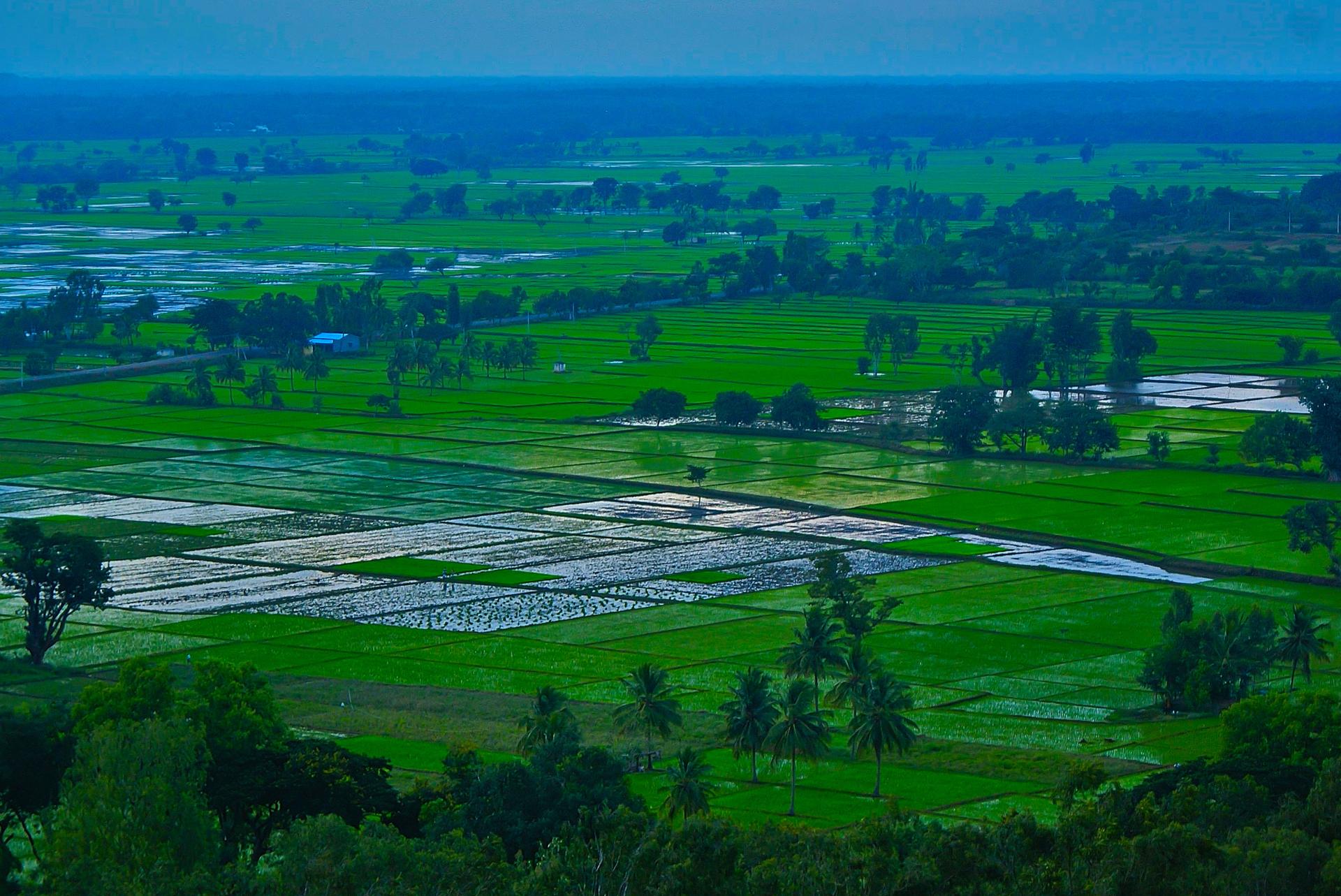 Cauvery river at sunset