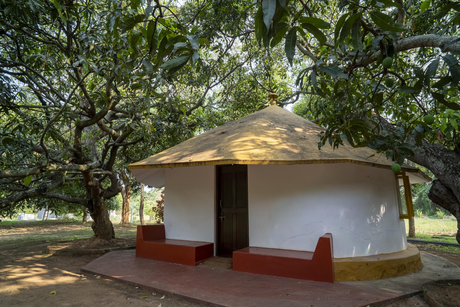 Shanti — the solo cottage under the canopy